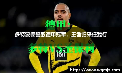 多特蒙德誓取德甲冠军，王者归来任我行