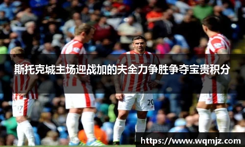 斯托克城主场迎战加的夫全力争胜争夺宝贵积分